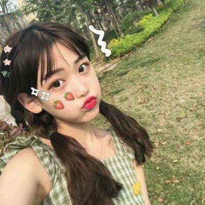 狮子彻夜未眠